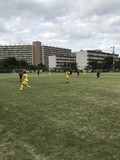 IMG_1334.jpg
