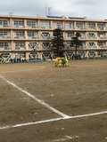 IMG_1746.jpg