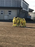 IMG_1890.jpg