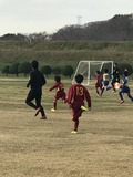 IMG_1951.jpg
