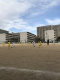 IMG_2632.jpg