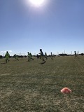 IMG_2686.jpg