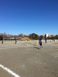 IMG_5134.jpg