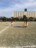 IMG_5434.jpg