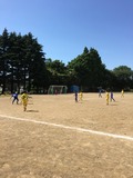 IMG_5961.jpg