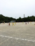 IMG_6006.jpg