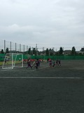 IMG_6154.jpg