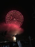 IMG_6329.jpg