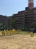 IMG_9554.jpg