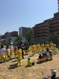 IMG_9555.jpg