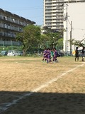 IMG_9559.jpg