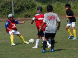 P8030041.JPG