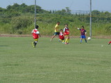 P8030049.JPG