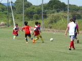 P8030050.JPG
