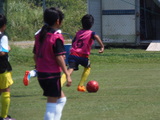 P8030054.JPG