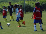 P8030066.JPG