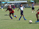 P8030072.JPG