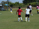 P8030073.JPG