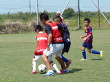 P8030092.JPG