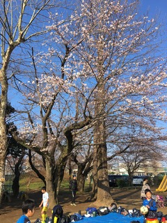 2018-03-25 07.59.13.jpg