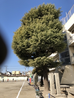 2019-02-03 10.09.09.jpg