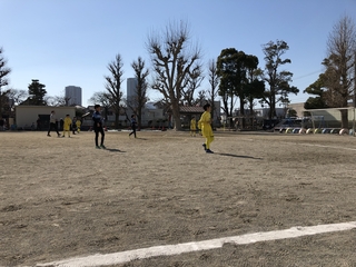 2019-02-03 11.24.43.jpg