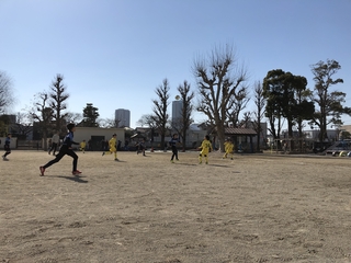 2019-02-03 11.25.00.jpg