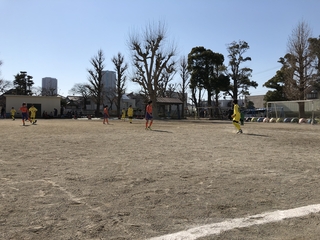 2019-02-03 11.55.57.jpg