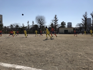 2019-02-03 11.56.02.jpg
