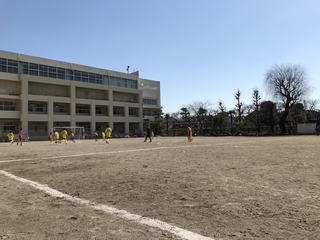 2019-02-03 11.56.28.jpg