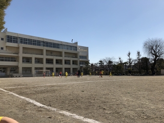 2019-02-03 11.56.50.jpg