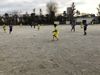 2019-02-03 16.26.24.jpg