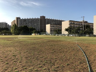 C2DB665C-5D6B-4085-B0A7-016686B0E519.jpeg