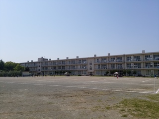 DSC_1311.jpg