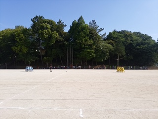 DSC_1493.jpg