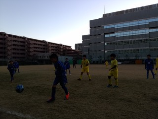 DSC_2305.jpg
