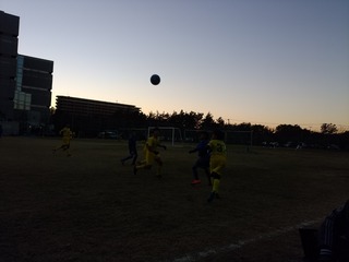 DSC_2306.jpg