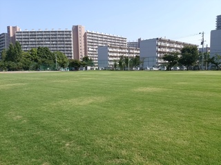 DSC_3006.jpg