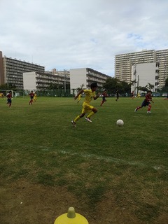 IMG_20180923_144306.jpg