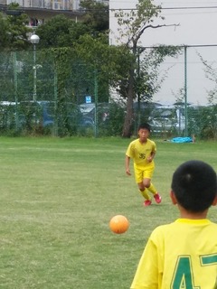 IMG_20180923_153139.jpg
