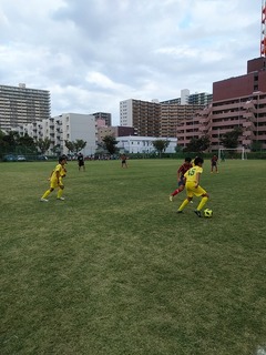 IMG_20180923_154720.jpg