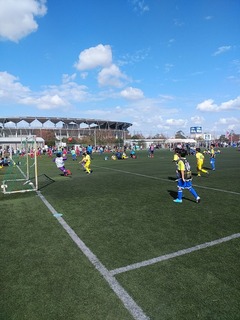 IMG_20181020_121313.jpg