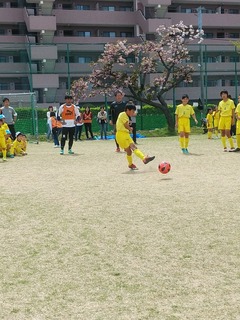 IMG_20190421_103252.jpg