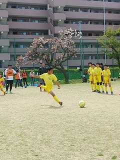 IMG_20190421_103309.jpg