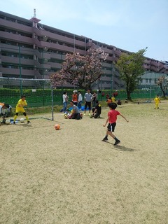 IMG_20190421_103506.jpg