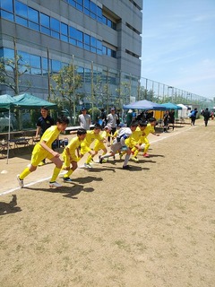 IMG_20190505_111720.jpg