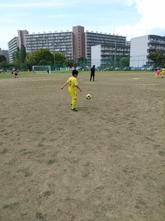 IMG_20190505_132034.jpg