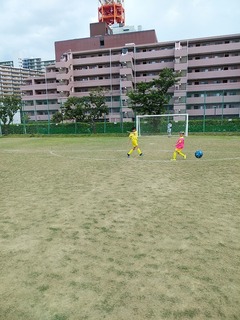 IMG_20190505_132111.jpg