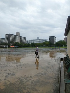 IMG_20190728_085031.jpg