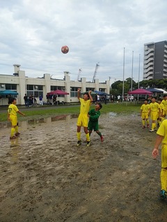 IMG_20190728_091408.jpg